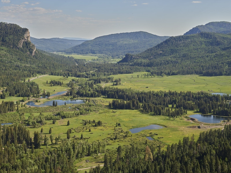 Wolf Creek Valley