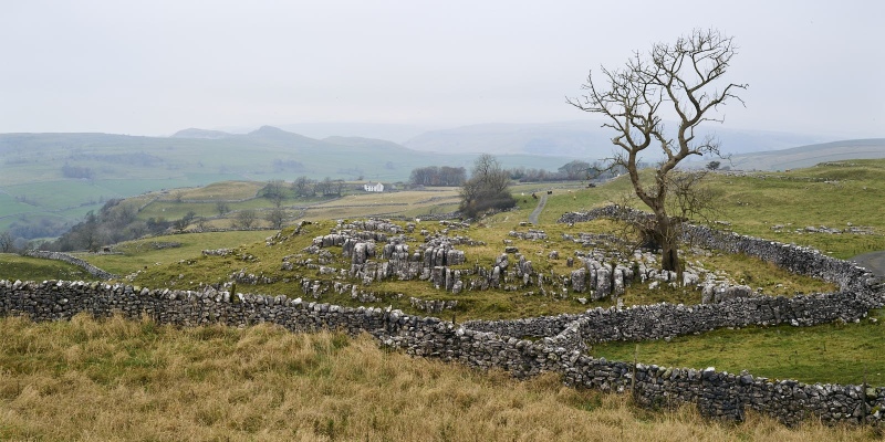 Plantlife Winskill Stones Nature