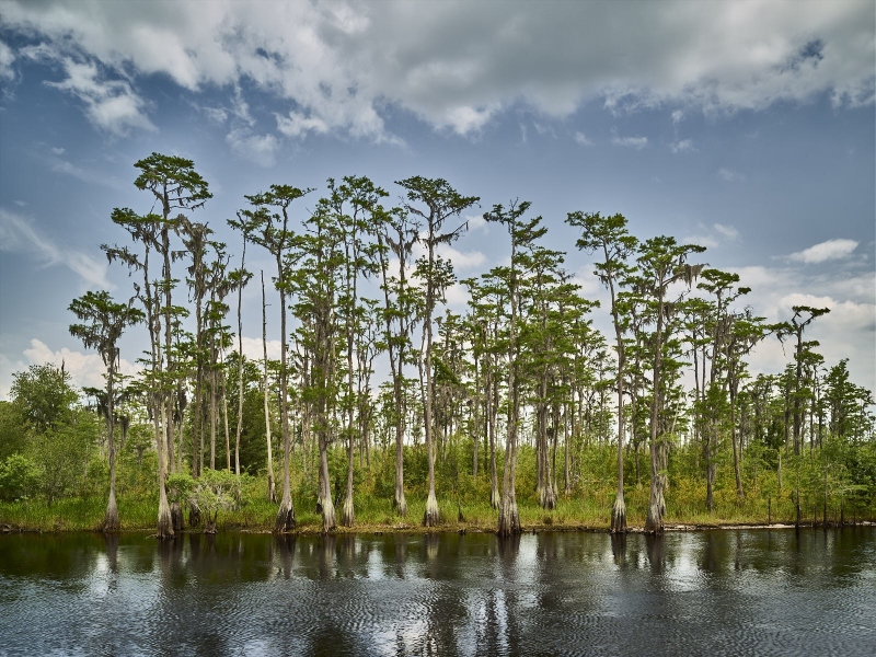 Suwannee River Sill Fargo, GA 31