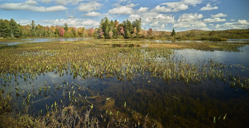Androscoggin River