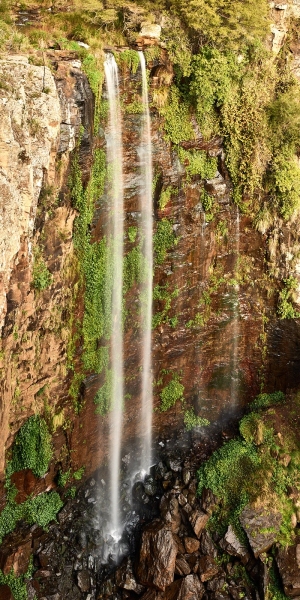 Queen Mary Falls, Spring Creek, Main Range National Park, Queensland, Australia