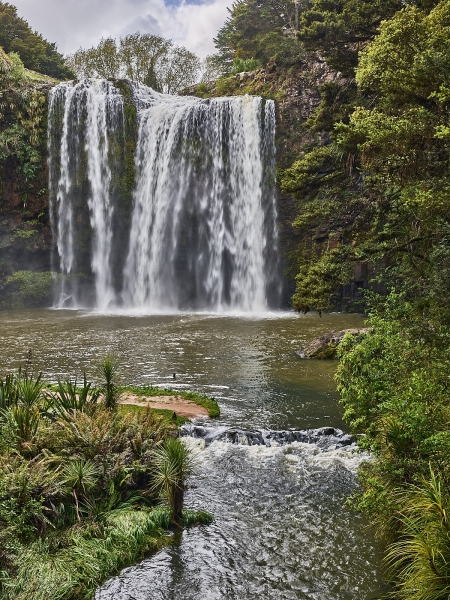 Whangarei Falls, Whangarein Scenic Reserve, Tikipunga, Northland, New Zealand, North Island